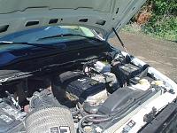 bhaf filter question-dsc01068.jpg