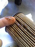 So what do you think it is?-1208090904.jpg