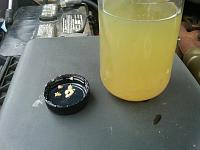 black fuel filter-img00440-20110404-1325%5B1%5D.jpg