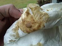 black fuel filter-img00442-20110404-1337%5B1%5D.jpg