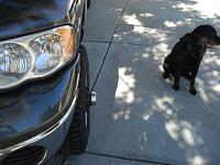 Crossover steering-dsc04151.jpg