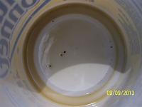 Brakes locking up, very hard pedal.-100_7027.jpg