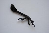 How hard is it to install new injectors yourself?-crow-foot.jpg