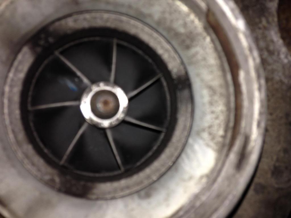 Name:  photo1-1.jpg
Views: 83
Size:  46.8 KB