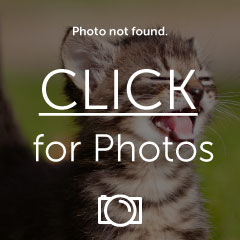 Name: th_IMG_6217.jpg
Views: 8407
Size: 14.0 KB