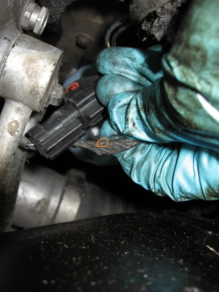 Name:  BareSpot.jpg
Views: 1919
Size:  110.1 KB