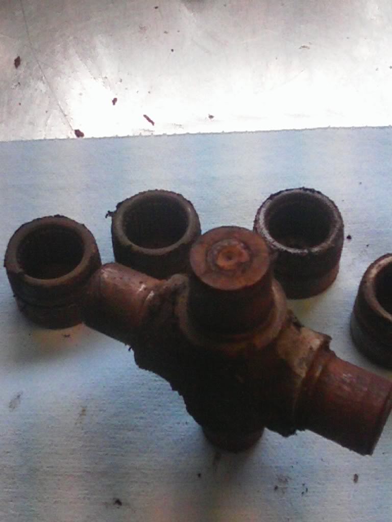 Name:  675A0147.jpg
Views: 67
Size:  65.0 KB