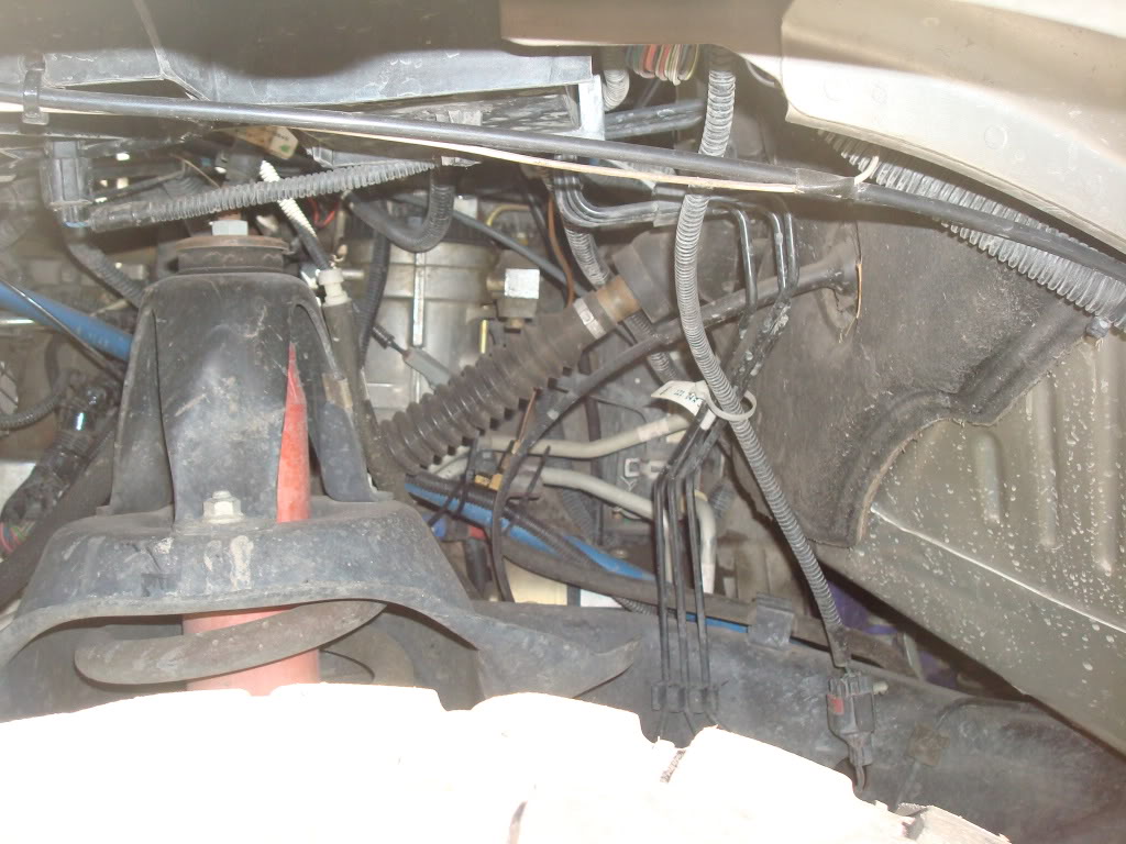 Name:  DSC02089.jpg
Views: 231
Size:  145.0 KB