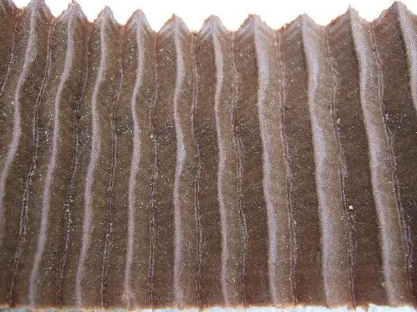 Name:  17600coolantfilter2.jpg
Views: 397
Size:  80.0 KB