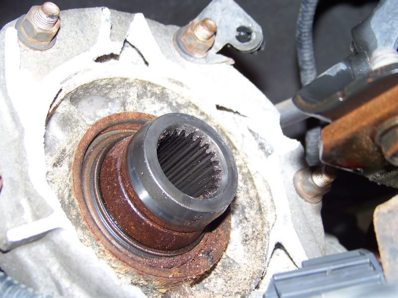 Name:  100_1576.jpg
Views: 1432
Size:  102.2 KB