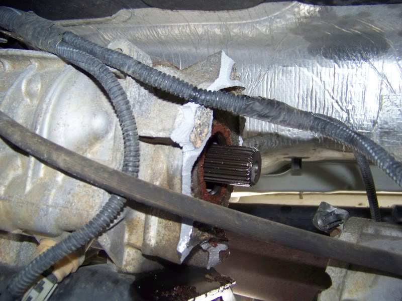 Name:  100_1578.jpg
Views: 1538
Size:  93.8 KB