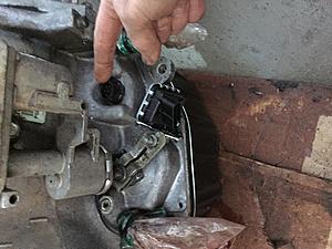 Rear Main Seal-img_6887.jpg