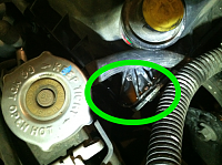 Radiator Cap-view-2.png