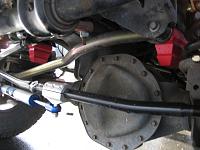 Thuren Kits-img_0040_1.jpg