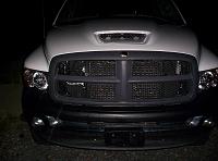 Need Help / Opinions??? SRT-10 Hood-100_0495.jpg