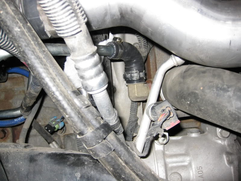 Name:  IMG_3858.jpg
Views: 926
Size:  91.8 KB