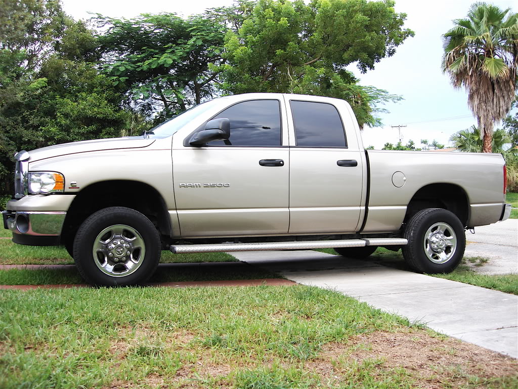 Name:  DSC01776.jpg
Views: 905
Size:  268.3 KB