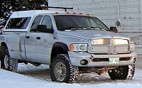The Officially Unofficial Silver CTD Thread-ram1.jpg