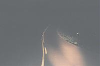 Added some driving lights-truck-021.jpg