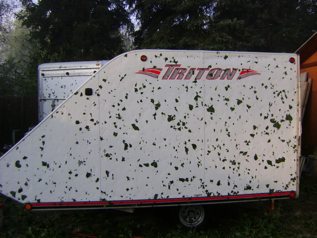 Name:  DSC00558.jpg
Views: 152
Size:  176.2 KB