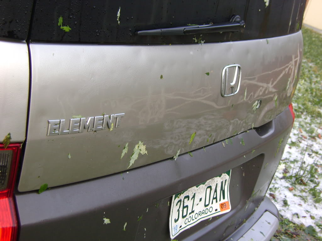 Name:  DSC00538.jpg
Views: 115
Size:  117.5 KB