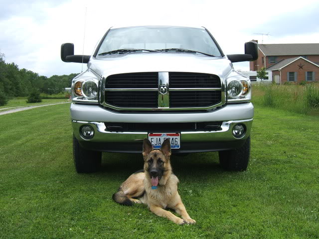 Name:  DSCF1627.jpg
Views: 1748
Size:  64.2 KB