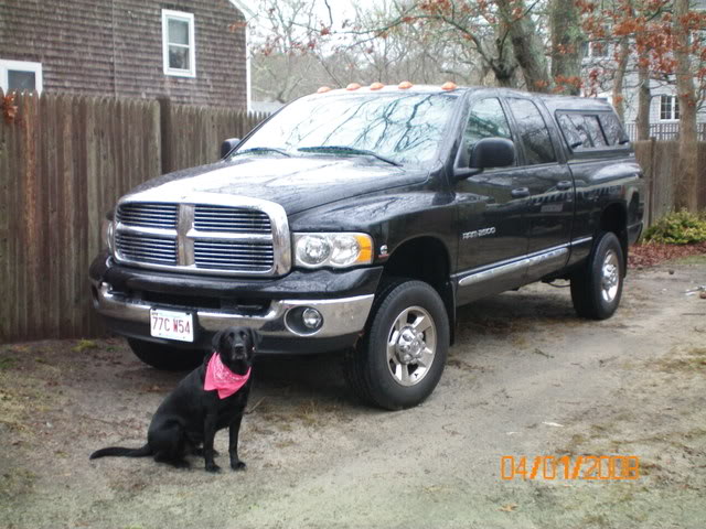 Name: 100_0144.jpg
Views: 2534
Size: 78.5 KB