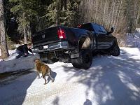 4th Gen Lifted Dually Pics-img-20130301-00109.jpg