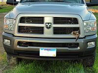 Uninvited Guest-dsc00311.jpg