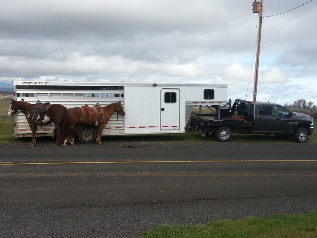 Name:  20140426_084752_zps1284afa3.jpg
Views: 537
Size:  78.4 KB