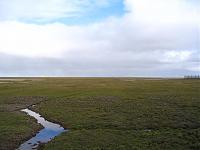 Cool Hummer-flat-011.jpg