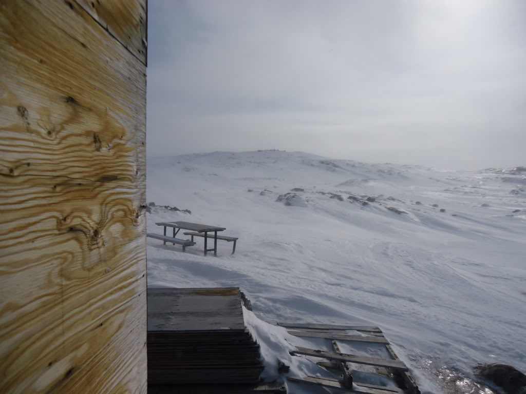 Name:  Cabin1SylviaGrennelpark.jpg
Views: 18
Size:  84.1 KB