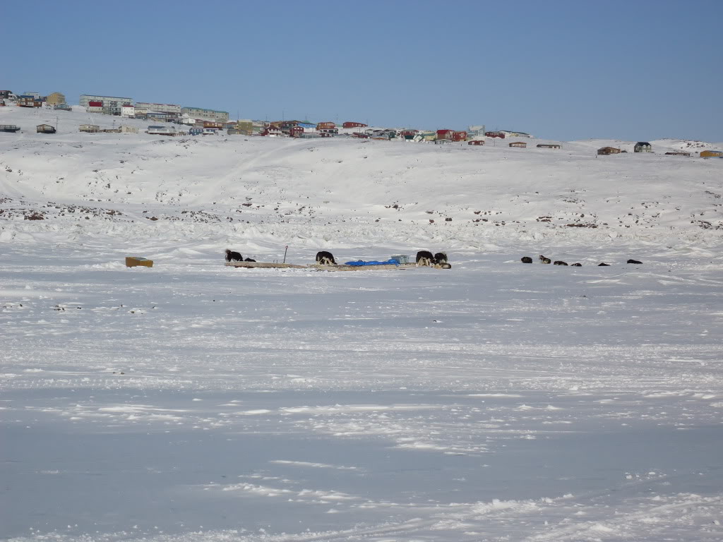 Name:  DSC00226.jpg
Views: 19
Size:  112.3 KB