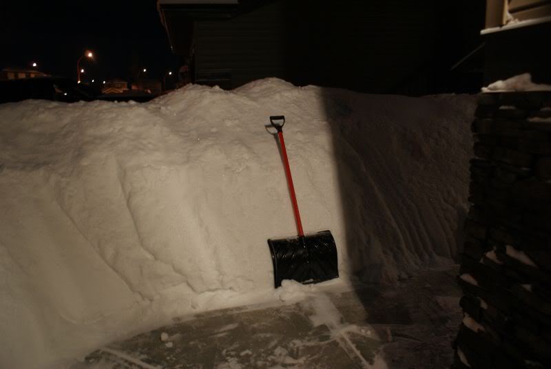 Name:  winter9.jpg
Views: 61
Size:  31.1 KB