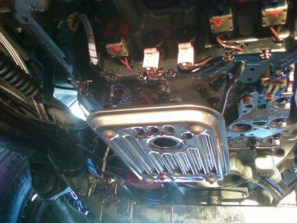 Name:  Photo0596.jpg
Views: 514
Size:  108.3 KB