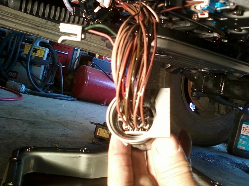 Name:  Photo0598.jpg
Views: 468
Size:  100.3 KB