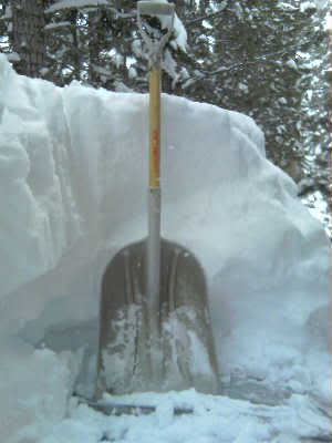 Name:  snowfebruary192011.jpg
Views: 1563
Size:  14.4 KB