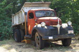 Name:  Dump3.jpg
Views: 718
Size:  8.6 KB