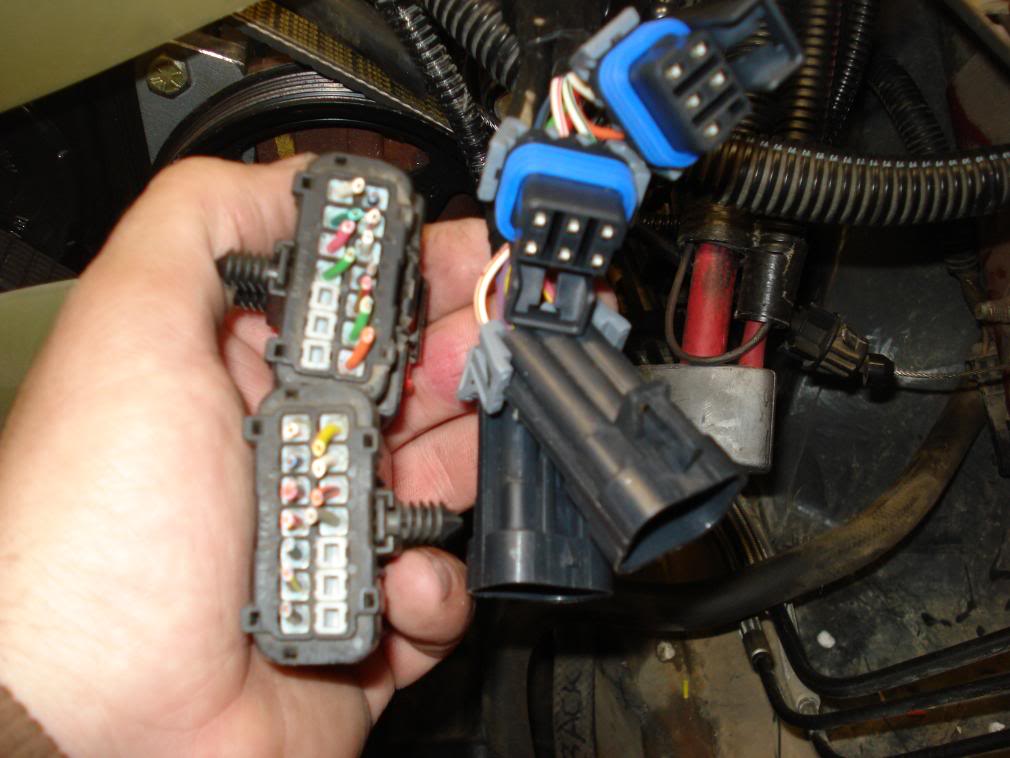 Name:  DSC09309.jpg
Views: 3267
Size:  82.6 KB