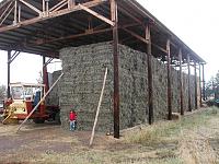local hay hauler-p1010016-large-.jpg