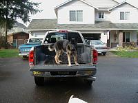 Hello I'm the Newbi-trucks-005.jpg