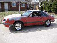Newbie from Michigan-img_0170.jpg