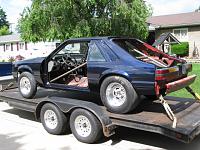 Newbie from Michigan-mustang-painted2.jpg