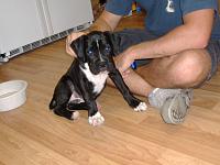 MD Chapter #33 Never ending thread Part IV-0010.jpg