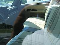 Maryland Chapter #33 Never ending thread VI-dually3.jpg