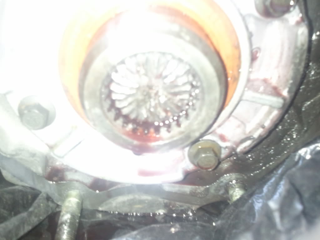 Name:  2011-01-16131732.jpg
Views: 20
Size:  58.2 KB