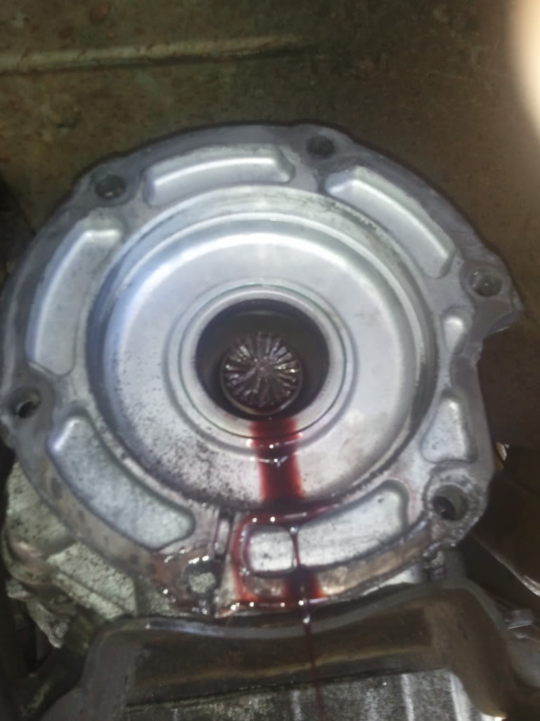 Name:  2011-01-16131822.jpg
Views: 20
Size:  81.7 KB