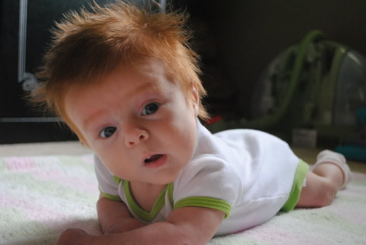 Name:  35374_1568620454569_1207197165_1633332_8254074_n.jpg
Views: 31
Size:  37.9 KB