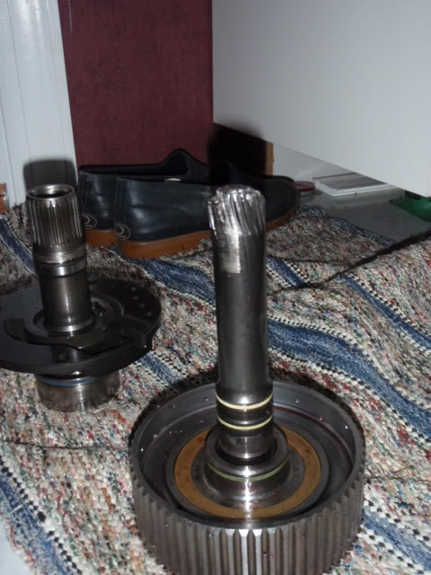 Name:  P3130865.jpg
Views: 20
Size:  67.0 KB