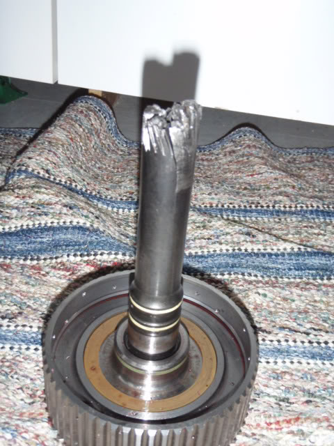 Name:  P3130863.jpg
Views: 21
Size:  79.5 KB